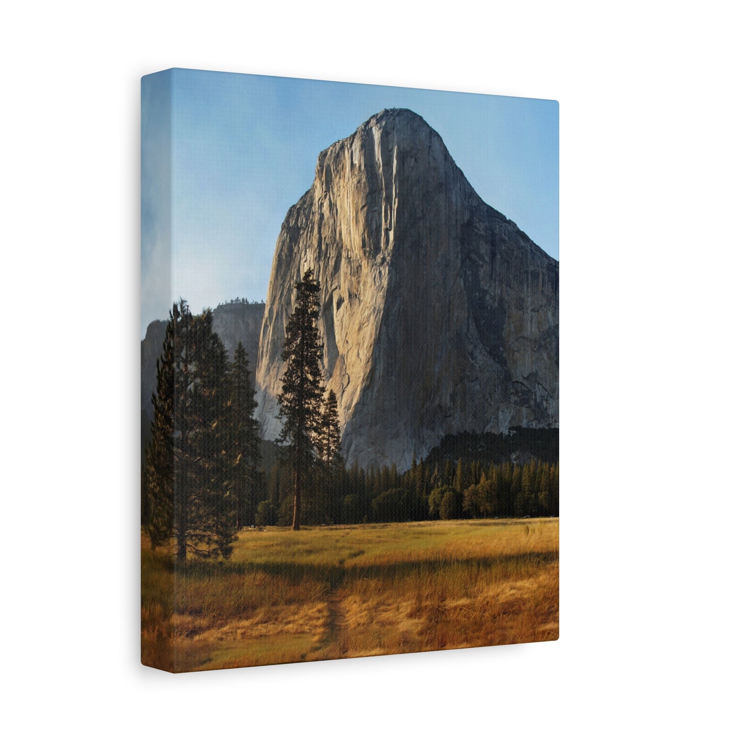 Yosemite National Park - Canvas