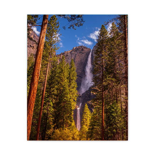 Yosemite Falls - Yosemite National Park - Canvas